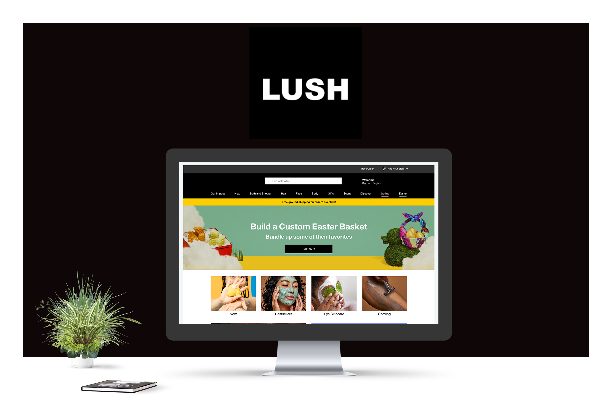 Portfolio Lush